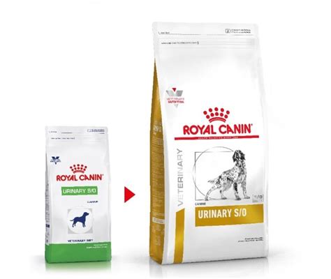 Royal Canin URINARY x 10 KG