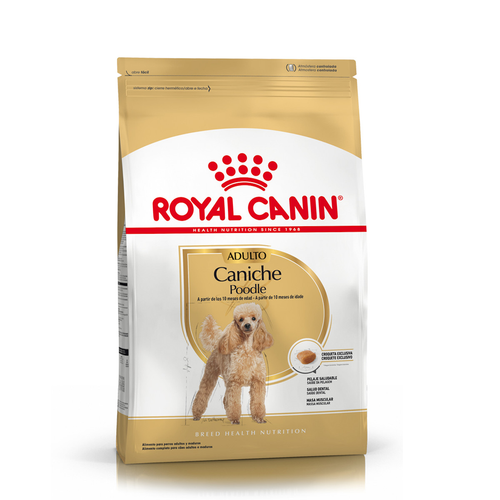 Royal Canin CANICHE ADULTO x 3 KG