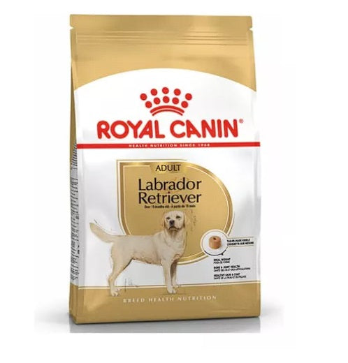 Royal Canin LABRADOR RETRIEVER ADULTO x 12 KG